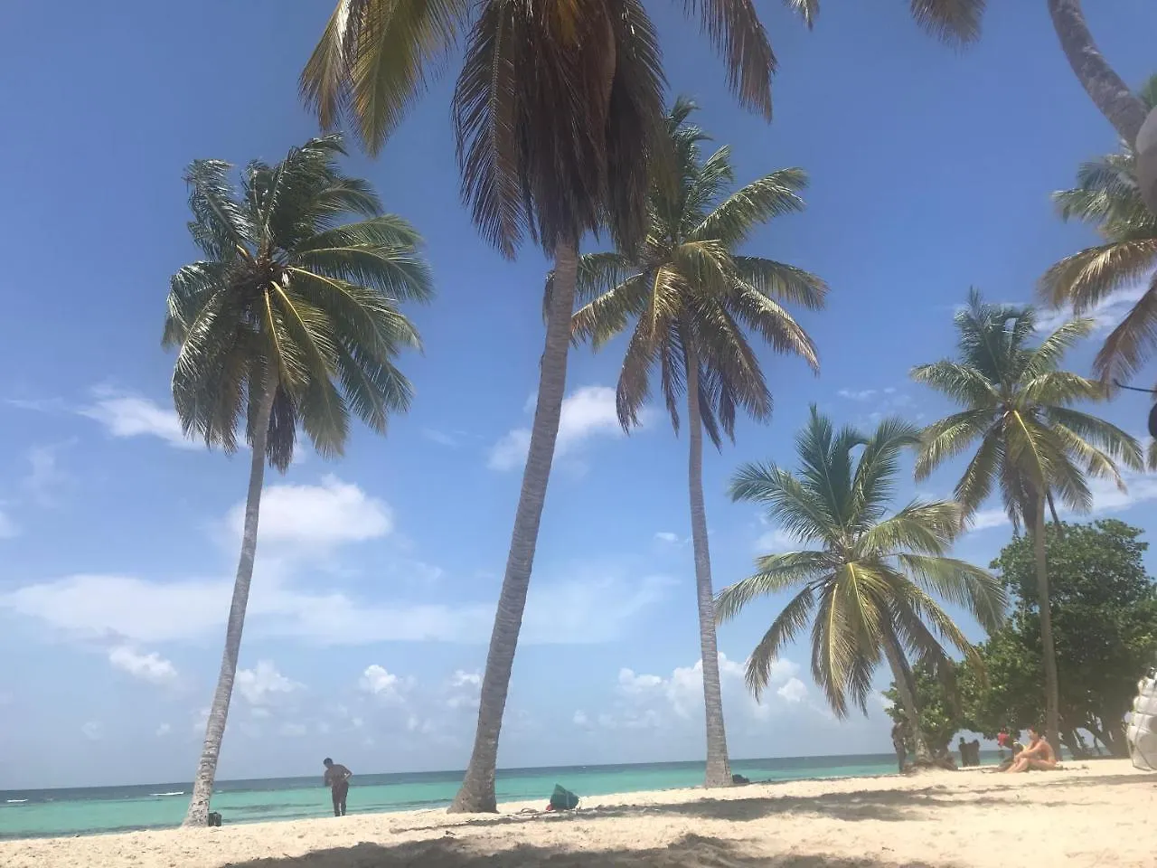 Corte Sea El Cortecito Hotel Punta Cana Dominican Republic